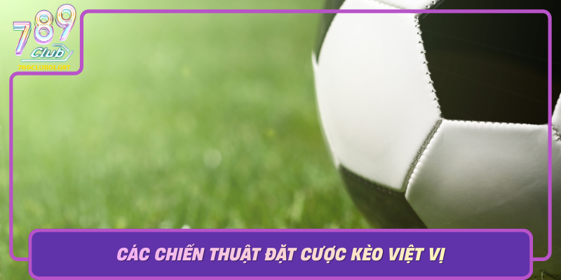 Cac Chien Thuat Dat Cuoc Keo Viet Vi Chien Luoc Toi Uu De Thang Loi