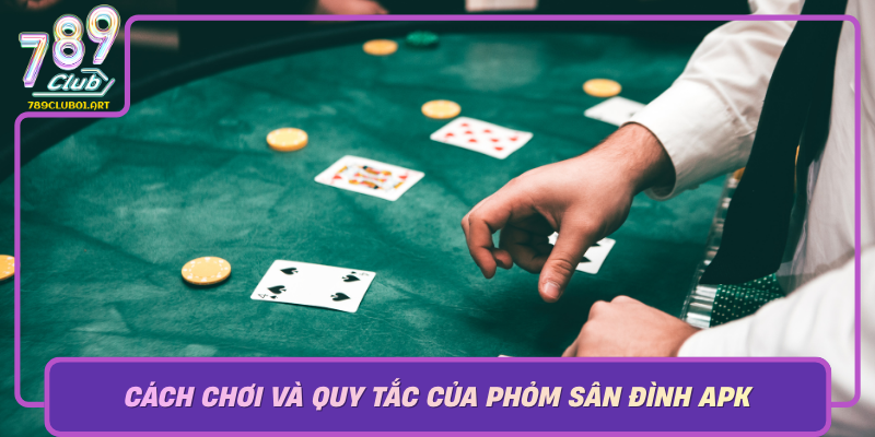 Cach Choi Va Quy Tac Cua Phom San Dinh Apk