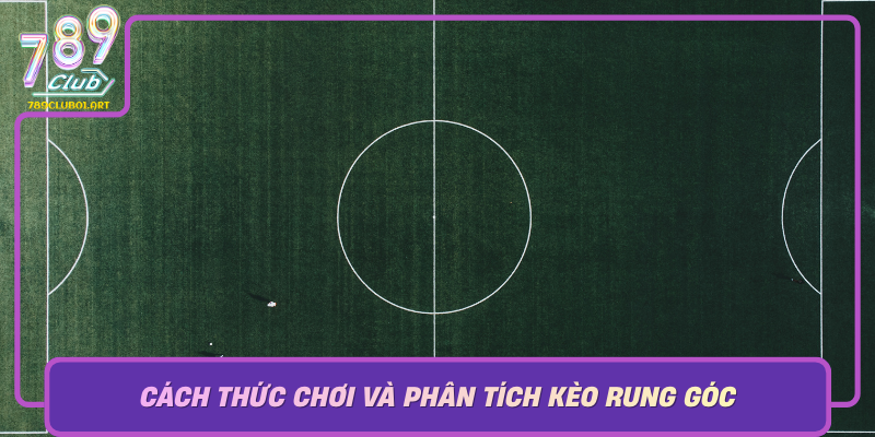 Cach Thuc Choi Va Phan Tich Keo Rung Goc Bi Quyet Chien Thuat