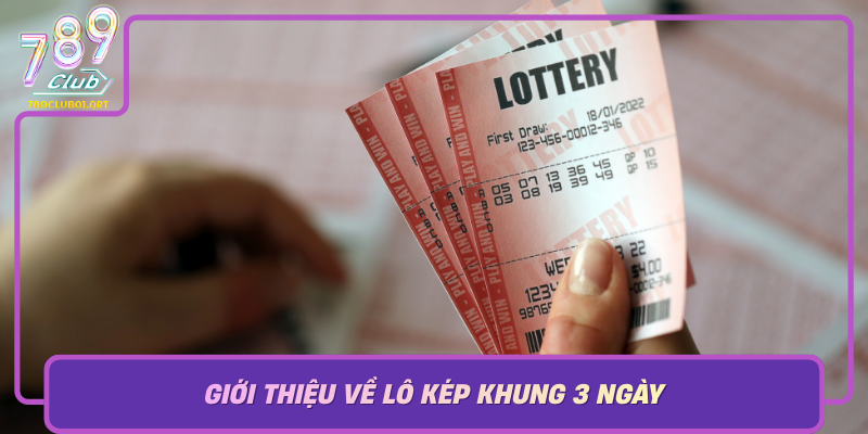 Gioi Thieu Ve Lo Kep Khung 3 Ngay Co Hoi Dau Tu An Toan Va Hap Dan
