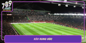Keo Rung Goc Bi Quyet Chinh Phuc Thi Truong Cuoc 789Club