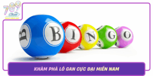 Kham Pha Lo Gan Cuc Dai Mien Nam Dia Chi Vang Cho Dan Choi