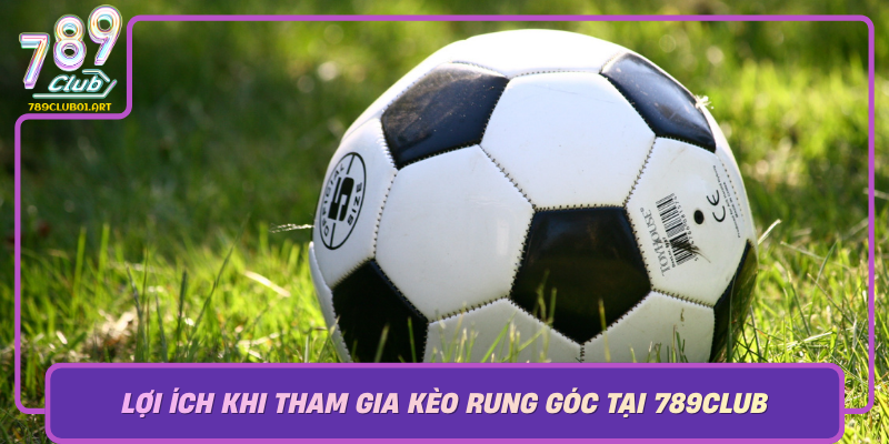 Loi Ich Khi Tham Gia Keo Rung Goc Tai 789Club