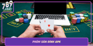 Phom San Dinh Apk Kham Pha Tham Hiem Giai Tri Cuc Cuon