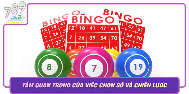 Tam Quan Trong Cua Viec Chon So Va Chien Luoc Choi Dai Phat Xo So
